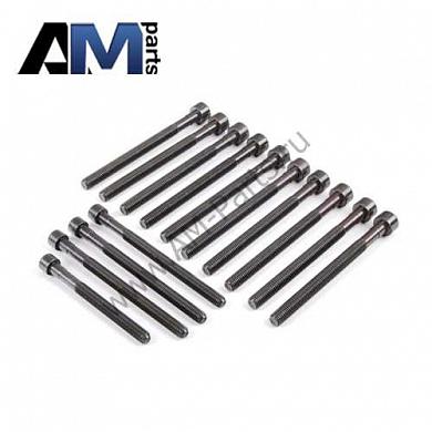 Комплект болтов ГБЦ 11127548799 на BMW (E60) 530xi