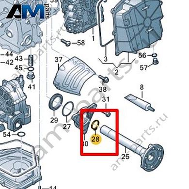 Стопорное кольцо VAG 0BZ311152Купить стопорное кольцо 0BZ311152 для Фольксваген/Ауди/Шкода на выгодных условиях