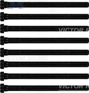 Комплект болтов головки блока VICTOR REINZ (143219601) для Audi A6 (С6) 2004-2011 2,7 CANA/CANB