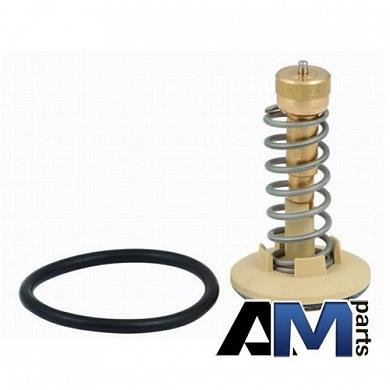 Термостат системы охлаждения для автомобилей концерна VAG 03C121110AЗаказать оригинальный термостат системы охлаждения для Ауди, Фольксваген, Шкода 03C121110A- Быстрая доставка