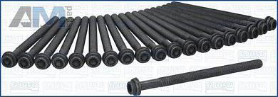 Комплект болтов головки блока AJUSA (81068800) на Audi A6 (С7) 2011-2018 3.0TDI