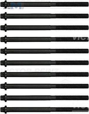 Комплект болтов ГБЦ (VICTOR REINZ) 141705901 для BMW X5 (E70) 2006-2013 50iX