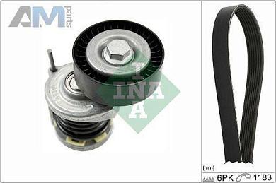Комплект замены ремня генератора INA (529046610) Volkswagen B6 (2005-2011) 2.0TDI