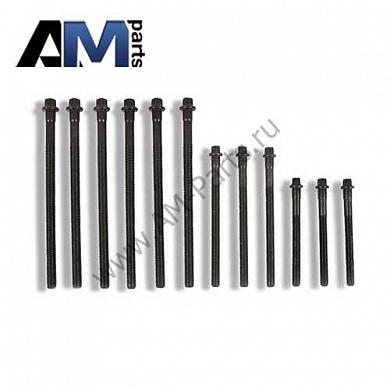 Комплект болтов ГБЦ VICTOR REINZ для BMW E83 2.0i 14-32310-01