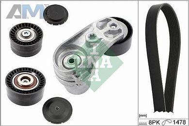 Комплект ремня с натяжителем (INA) 529021110 для BMW 1 серия (F21) 2011-2015 M135i