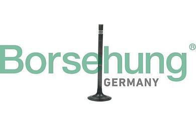 Комплект клапанов (впуск/выпуск) для Polo Sedan (2010-2015) 1.6SRE(110/90л.с.) B19006