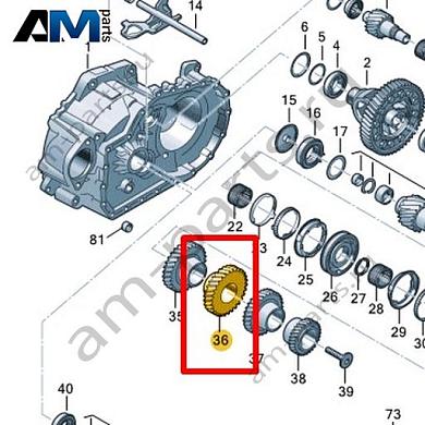 Шестерня VAG 0C9311351HКупить шестерню 0C9311351H Фольксваген/Ауди/Шкода- гарантия наличия