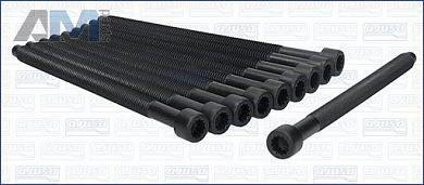 Комплект болтов головки блока AJUSA (81026000) для Audi A4 (B7) 2005-2009 2.0TDI