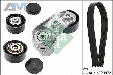 Комплект ремня с натяжителем (INA) 529021110 для BMW 1 серия (F20) 2010-2015 M135i