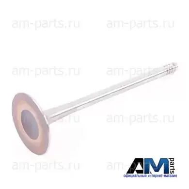 Впускной клапан Ауди Q5 (FY) 2020-2026 2.0TFSI 06K109601