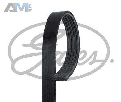 поликлиновый ремень генератора GATES (5PK493) на Volkswagen Tiguan I (2007-2011) 1.4TSI CAVA