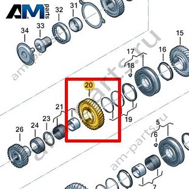 Шестерня VAG 0HL311260BКупить шестерню 0HL311260B на Фольксваген/Ауди/Шкоду- выгодные цены
