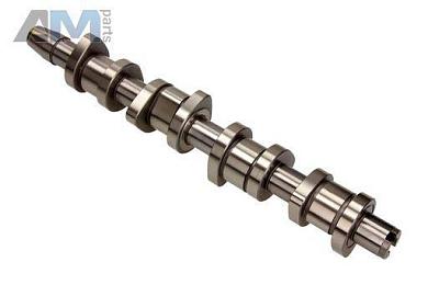 Распредвал INA (428013010) на Audi A4 (B7) 2005-2009 1.9Diesel