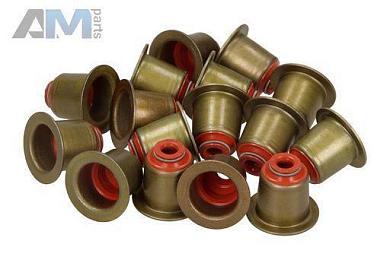 Маслосъемные колпачки (VICTOR REINZ) 123517201 для BMW X6 (E71) 2007-2014 35dX