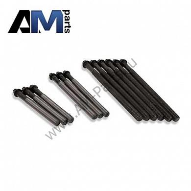 Комплект болтов ГБЦ 11127578077 на BMW E83 2.0i