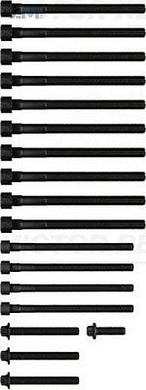 Комплект болтов ГБЦ (VICTOR REINZ) 143230902 для BMW X6 (E71) 2007-2014 35iX N54