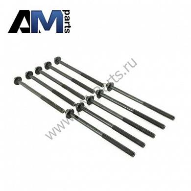 Комплект болтов ГБЦ 11128513128 на BMW (F20) 125d