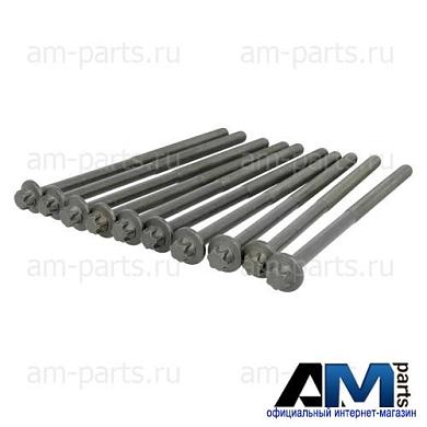 Болты ГБЦ A6510160469 Mercedes V-class V447