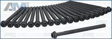 Комплект болтов головки блока AJUSA (81068800) Audi A6 (C8) 2018-2025 3.0TDI