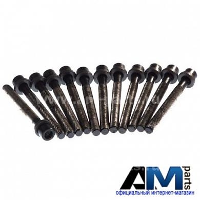 Комплект болтов ГБЦ ELRING для Crafter 2.5 TDI 819.875