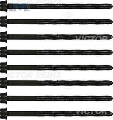 Комплект болтов головки блока VICTOR REINZ (143238201) на Audi A6 (C8) 2018-2025 3.0TFSI