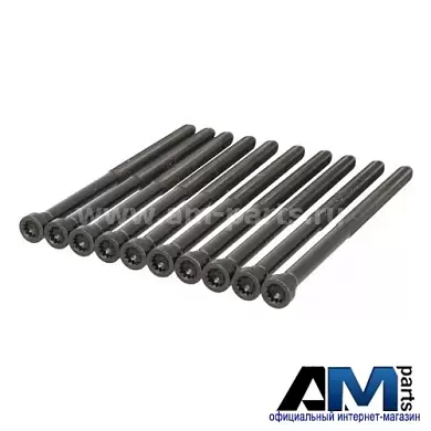 Болты ГБЦ для Tiguan II (2016-2020) 2.0TDI WHT005673