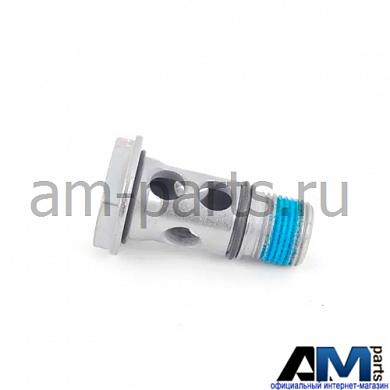 Пустотелый болт для автомобилей концерна VAG WHT000494Заказать пустотелый болт для VAG WHT000494- Детали от дилера