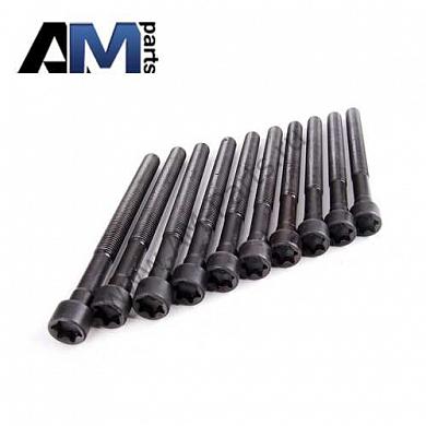 Комплект болтов ГБЦ VICTOR REINZ для BMW X6 (E71) 35iX N54 14-32309-01