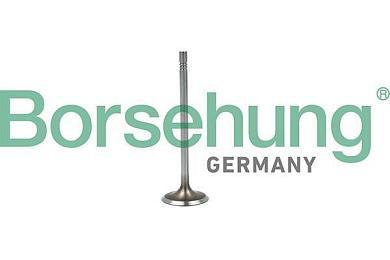 Впускной клапан B19015 (BORSEHUNG) для Taos (2020-2023) 1.4TSI