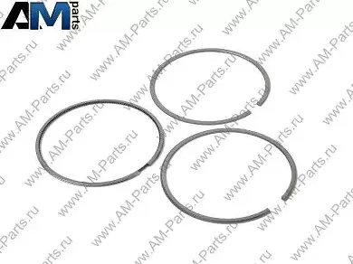 Комплект поршневых колец KOLBENSCHMIDT (800073810000) на Volkswagen Passat B6 (2005-2011) 1.8TSI